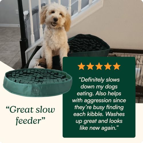 Snuffle Mat for Dogs (Hunter Green Snuffle Mat)