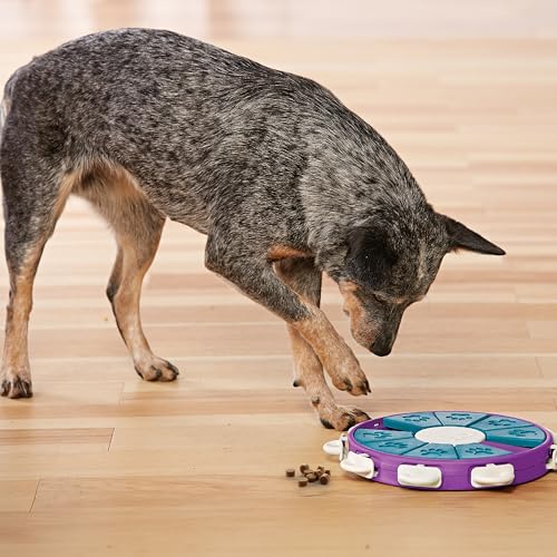 Nina Ottosson Dog Twister Dog Toy Treat Puzzle (Dog Twister (Purple, Blue) / 1 Count (Pack of 1))