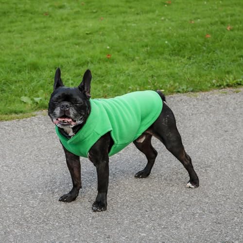 Dog Fleece Vest Sweater with Leash Ring (M (6-10lbs) / Green)