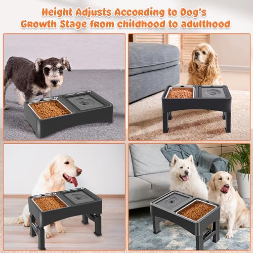 2-in-1 Elevated Dog Bowls with 4 Height Adjustable Raised Stand (2-in-1 Light Black)