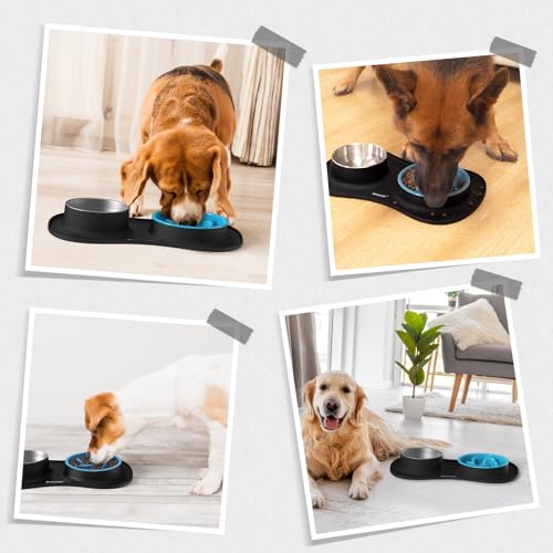 Dog Food and Water Bowl Set 3 in 1 (Medium / Black)