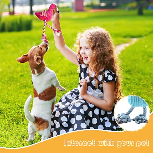 2 Pack Plush Dog Toys with Rope