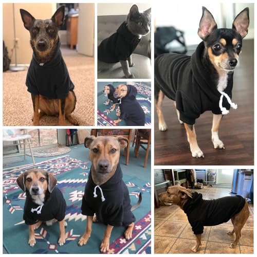 Dog Hoodie for Small Medium Dogs (#2 Black(Plain) / Small/Medium (All Breed Sizes))