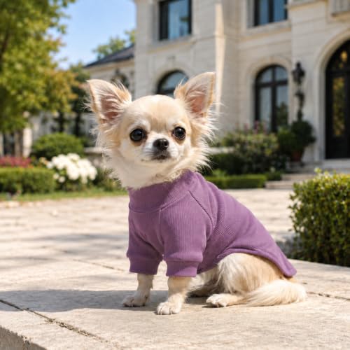 Ribbed Dog T Shirt Cotton Knitted Dog Sweaters for All Season Pet T (XS (for Mini Dog) / Taro purple)
