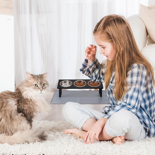 Upgraded Elevated Cat Bowls with Food Mat