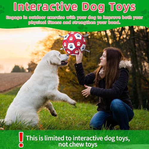 Herding Ball for Dogs Large (9 Inch / Red)