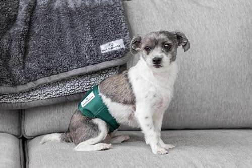 Washable Belly Bands for Male Dogs (X-Small (11-13") / Spruce)