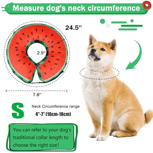 Recovery Donut Collar for Dogs & Cat (Watermelon / S(neck 4"-7"))