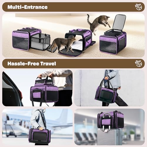 Top and 2 Sides Expandable Pet Carrier 17x11x9.5 TSA Airline Approved (Purple / 17.0"L x 11.0"W x 9.5"H)