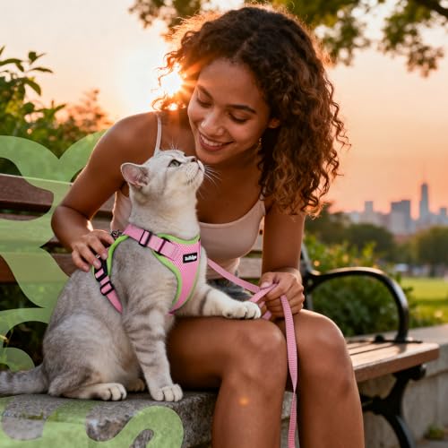 Cat Harness and Leash Set (M / Pink & Light Green)
