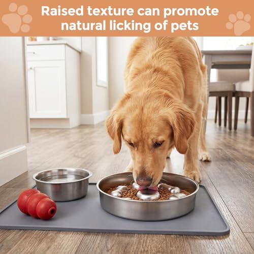 2 Pack Stainless Steel Slow Feeder Dog Bowls