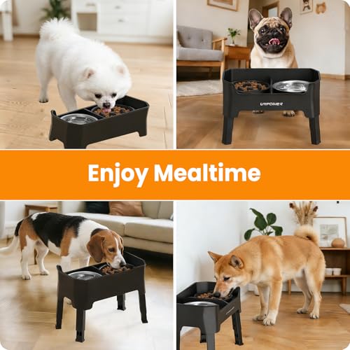 Elevated Dog Bowls for Small Dogs (Black / Small)
