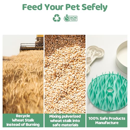 Slow Feeder Dog Bowl for Large Dogs with Non (L / Lawn-Green)