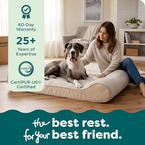 Orthopedic Dog Bed for Large Dogs (Jumbo Plus/XXL / Cream)