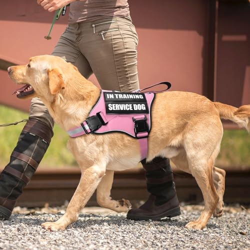 Service Dog Vest Harness and Leash Set+10 Patches (Extra-large / Pink)