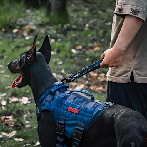 Short Traffic Dog Leash for Small Medium Large Dogs (M / Blue)