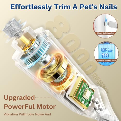 2-in-1 Dog & Cat Nail Clippers and Grinder with Catcher & 2 LED Lights (White)
