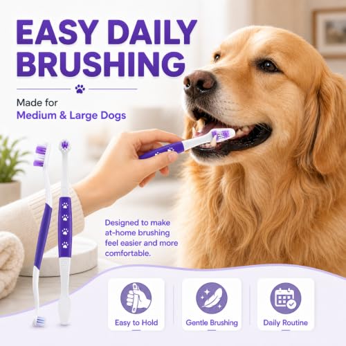 Dog Toothbrush (Purple / 1 Count (Pack of 1))
