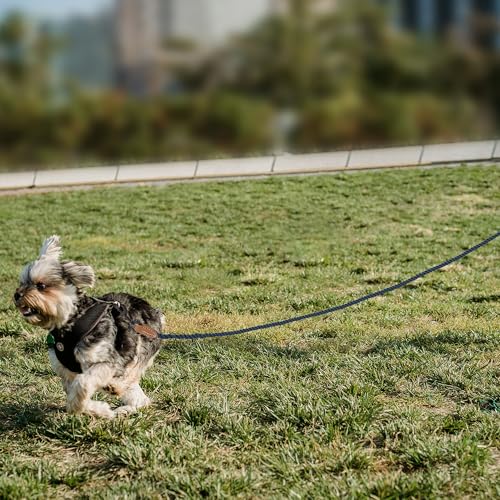 Dog Leash Braided Cotton Rope with Leather (Navy / 48 Inch-1/3")