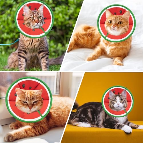 Soft Adjustable Cat Cone Collar (Watermelon / Small)
