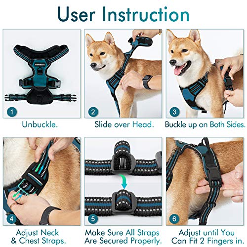 Dog Harness No Pull for Large Dogs with 2 Leash Clips (Large / Blue Coral)