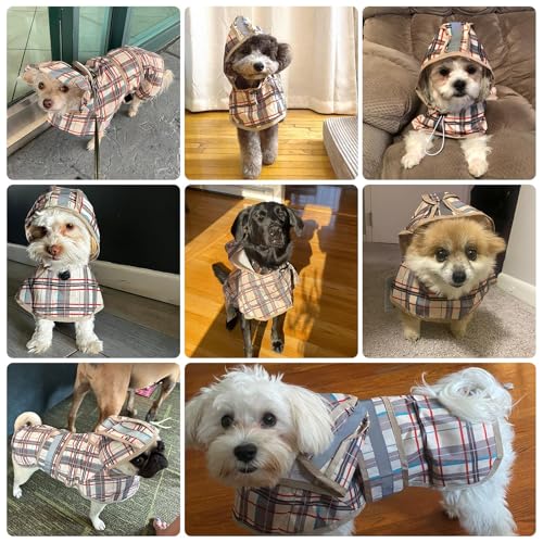 Dog Raincoat Hooded Slicker Poncho with Leash Hole (M:15-20lbs / Cool Dinosaur)