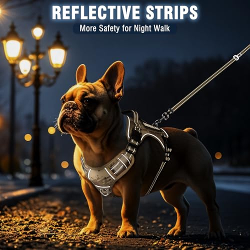 Tactical Dog Harness and Leash Set with 10 Patches for Medium Dogs (Medium / Desert Camo)