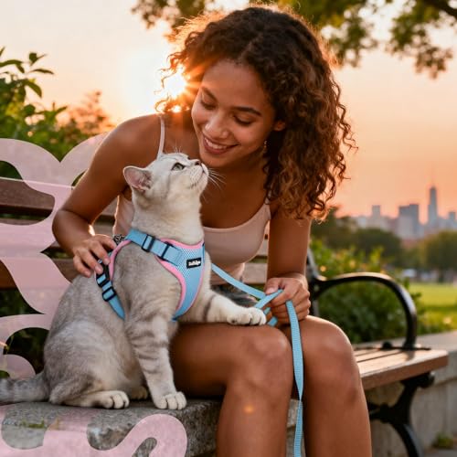 Cat Harness and Leash Set (Xxs / Light Blue & Pink)