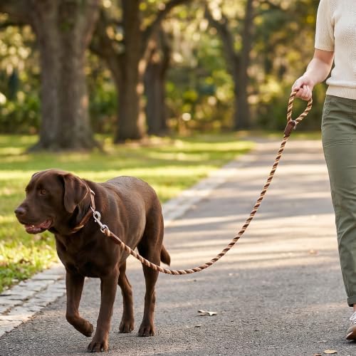 Rainbow Dog Leash Braided Cotton Rope w Leather (Brown Gradient / 72 Inch-1/2")