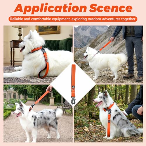 14 Inch Traffic Dog Leash with Padded Handle (Orange)