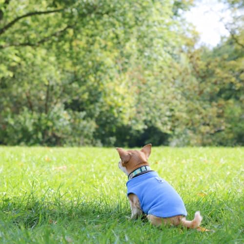 Dog Fleece Vest Sweater with Leash Ring (S (4-6lbs) / Blue)