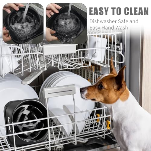 Slow Feeder Dog Bowls for Medium Dogs & Cats (Medium / Black)