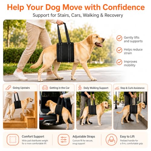 Adjustable Dog Sling for Large Dogs (X-Large)