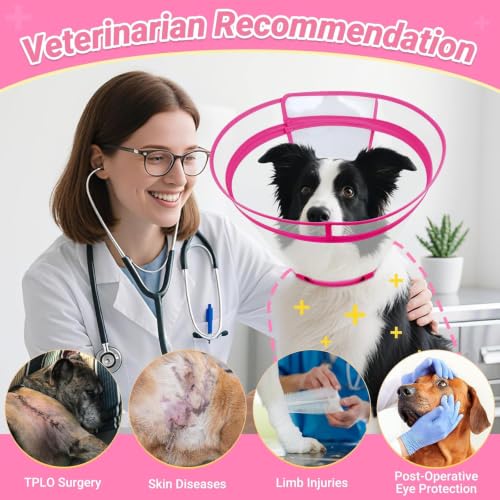 Dog Cone to Stop Licking (Hot Pink / M(Neck: 11.75"-13.75"))