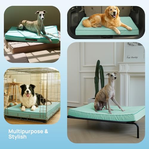 Cooling Dog Bed for Large Dogs (Light Aqua / 36''x27''x3'')