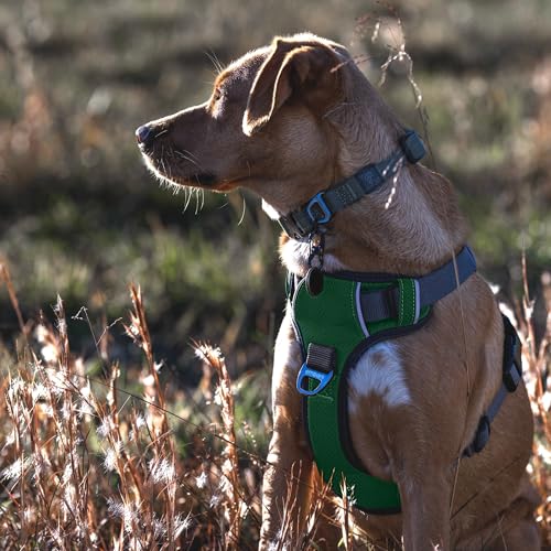 Embark No Pull Dog Harness (M / Green)