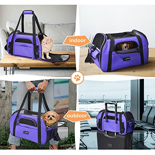 Soft Sided Airline (17.0"L x 9.0"W x 11.5"H / Purple)