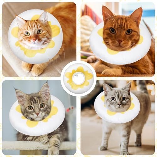 Cat Cone Collar Soft (Egg / Large)