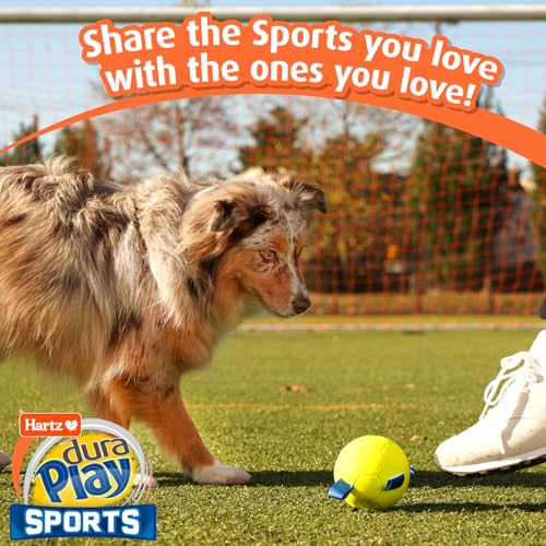 Dura Play Sports Soccer Dog Toy (Soccer Ball / 1 Count)