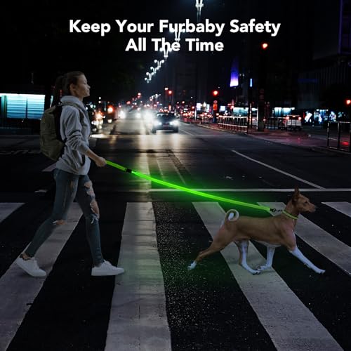 LED Light Up Dog Leash (Green (New) / 4FT)