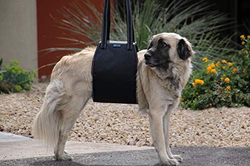 Dog Lift Support and Rehab Harness for Dogs with Weak Rear Legs (Medium)