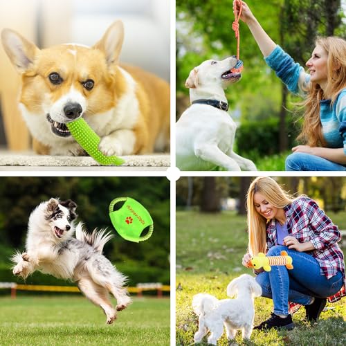 Dog Toys 25 Pack for Fun and Teeth Cleaning