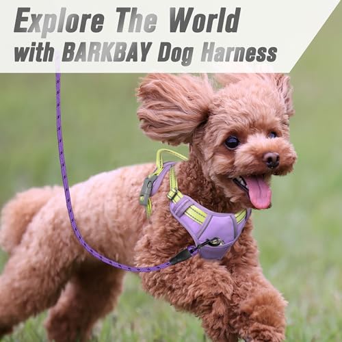 Dog Harness No Pull for Small Sized Dog Front Back Clips (Small(Chest:19.5-26") / Violet Purple & Sunlight)