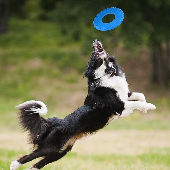 Tire Flyer Outdoor Dog Toy (Blue / 10 Inch)