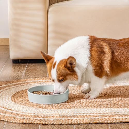 Slow Feeder Dog Bowl (M - 1.5 Cups / Grayish Cyan)