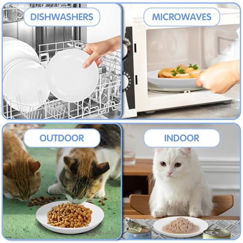 6 Pack Cat Food Bowl (White)