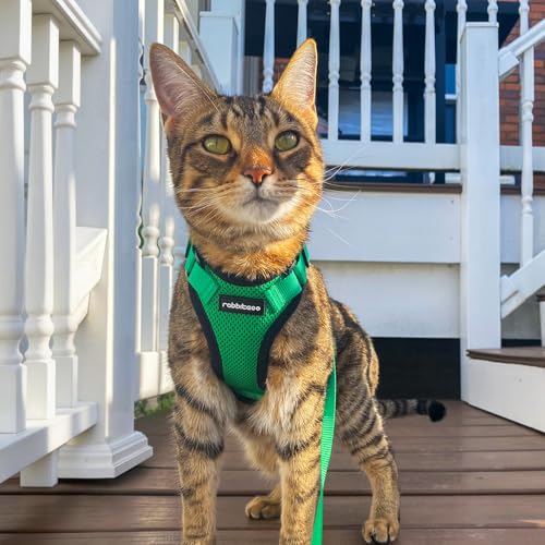 Cat Harness and Leash Set (S / Grass Green)