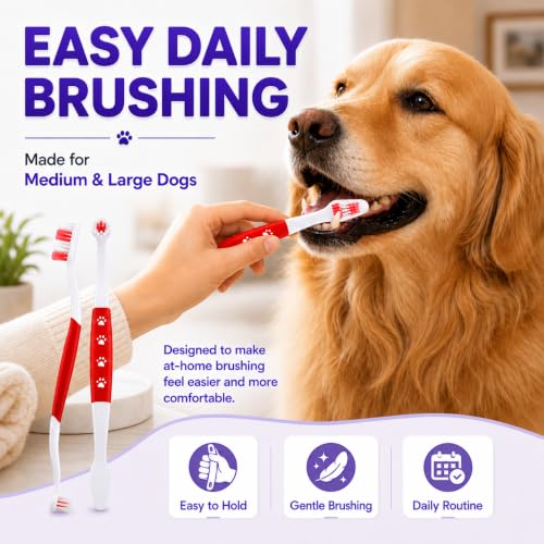 Dog Toothbrush (Red / 1 Count (Pack of 2))