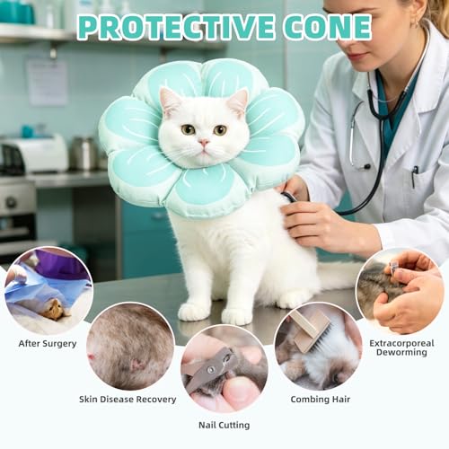 Cat Cone Collar (Blue / M - Neck Up to 10.5")