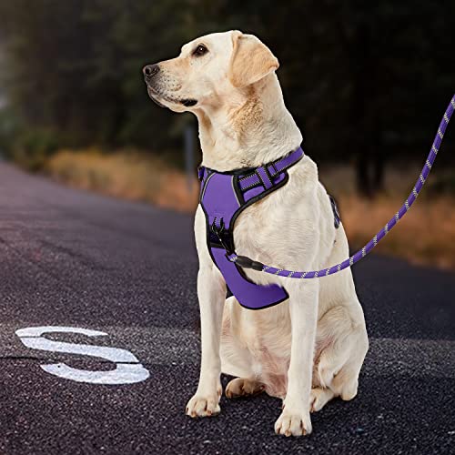 No Pull Dog Harness for Large Dogs (Purple / X-Large)